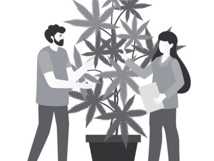 Is it possible to register trademarks with the term "Cannabis" or "Marijuana"?